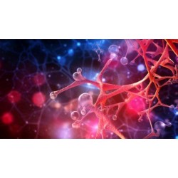 Hormones: What They Are,...