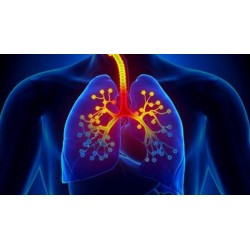 Asthma Symptoms