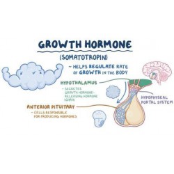 How to use Growth Hormone