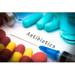 How To Use Antibiotics in...