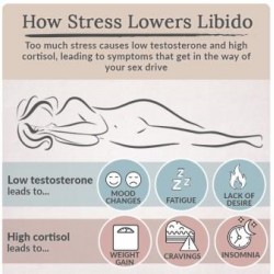 Libdo Body Factors Influencing Libido in women body
